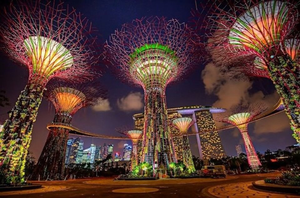 Singapore open giant gardens